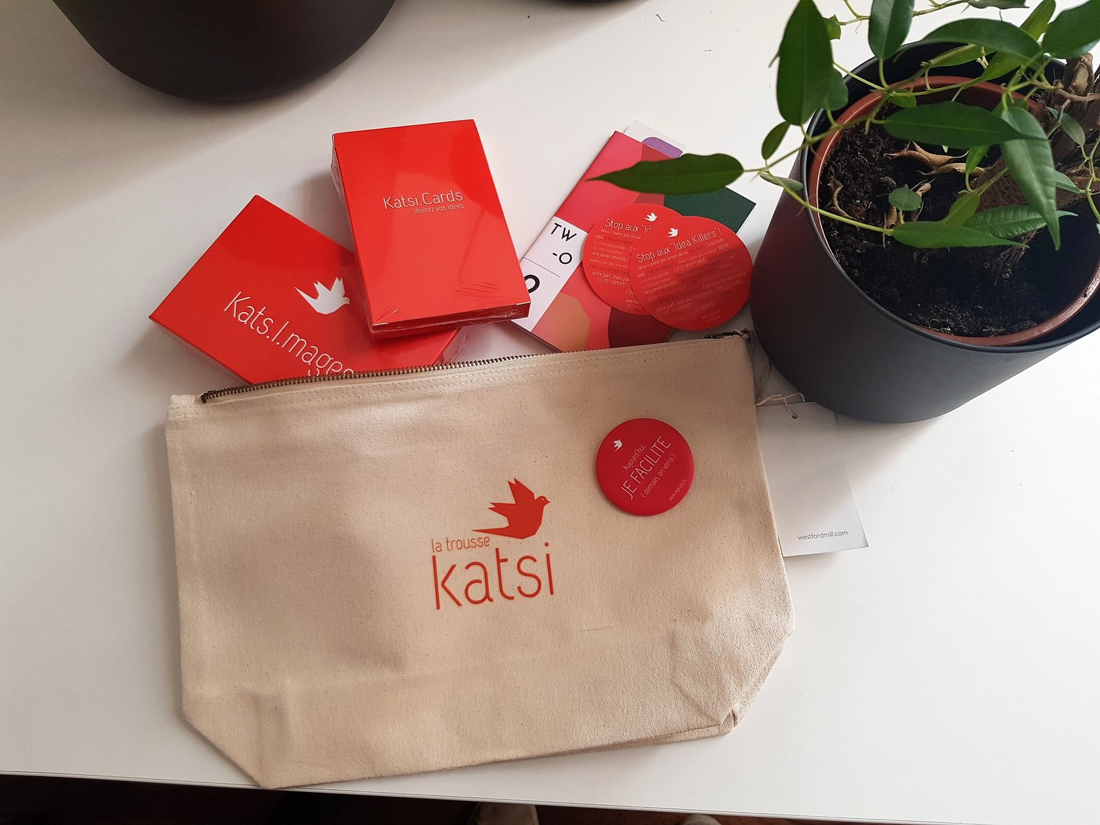 Kit katsi, vue d'ensemble